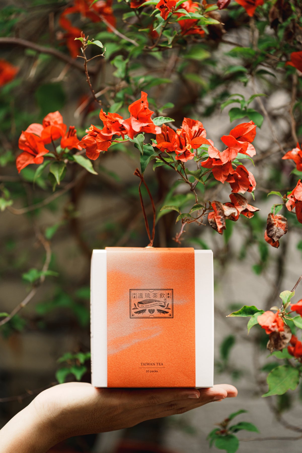 台灣茶 10款熱門茶包體驗組｜溫琉茶飲